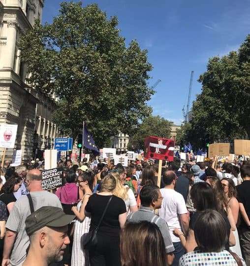 Dulwich and West Norwood Labour at the #StopTheCoup rally