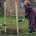 Council leader Kieron Williams planting a tree