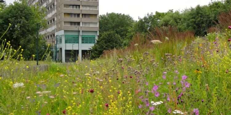 Burgess Park