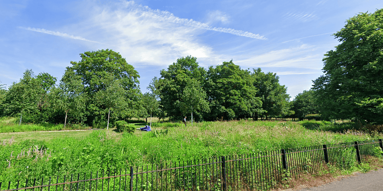 Burgess Park seen from St George's Way, Camberwell. Image: Google