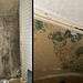 From left: The mould-ridden walls of the bedroom she shares with 5-year-old son and the staircase walls.