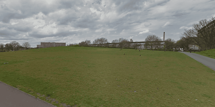 Burgess Park. Image: Google