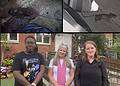 Residents claim their calls for action have been ignored for over a year (photos of rats: Julie Rose)