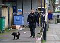 A police sniffer dog works at the scene outside Spenlow House in Jamaica Road, Bermondsey, south east London, where a 22-year-old woman died from a stab injury on Christmas Eve. A 16-year-old boy has been arrested on suspicion of murder. Picture date: Monday December 25, 2023.