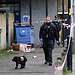 A police sniffer dog works at the scene outside Spenlow House in Jamaica Road, Bermondsey, south east London, where a 22-year-old woman died from a stab injury on Christmas Eve. A 16-year-old boy has been arrested on suspicion of murder. Picture date: Monday December 25, 2023.