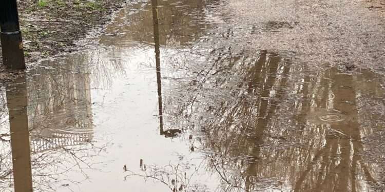 Deal Porters Way path after rain.