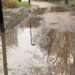 Deal Porters Way path after rain.